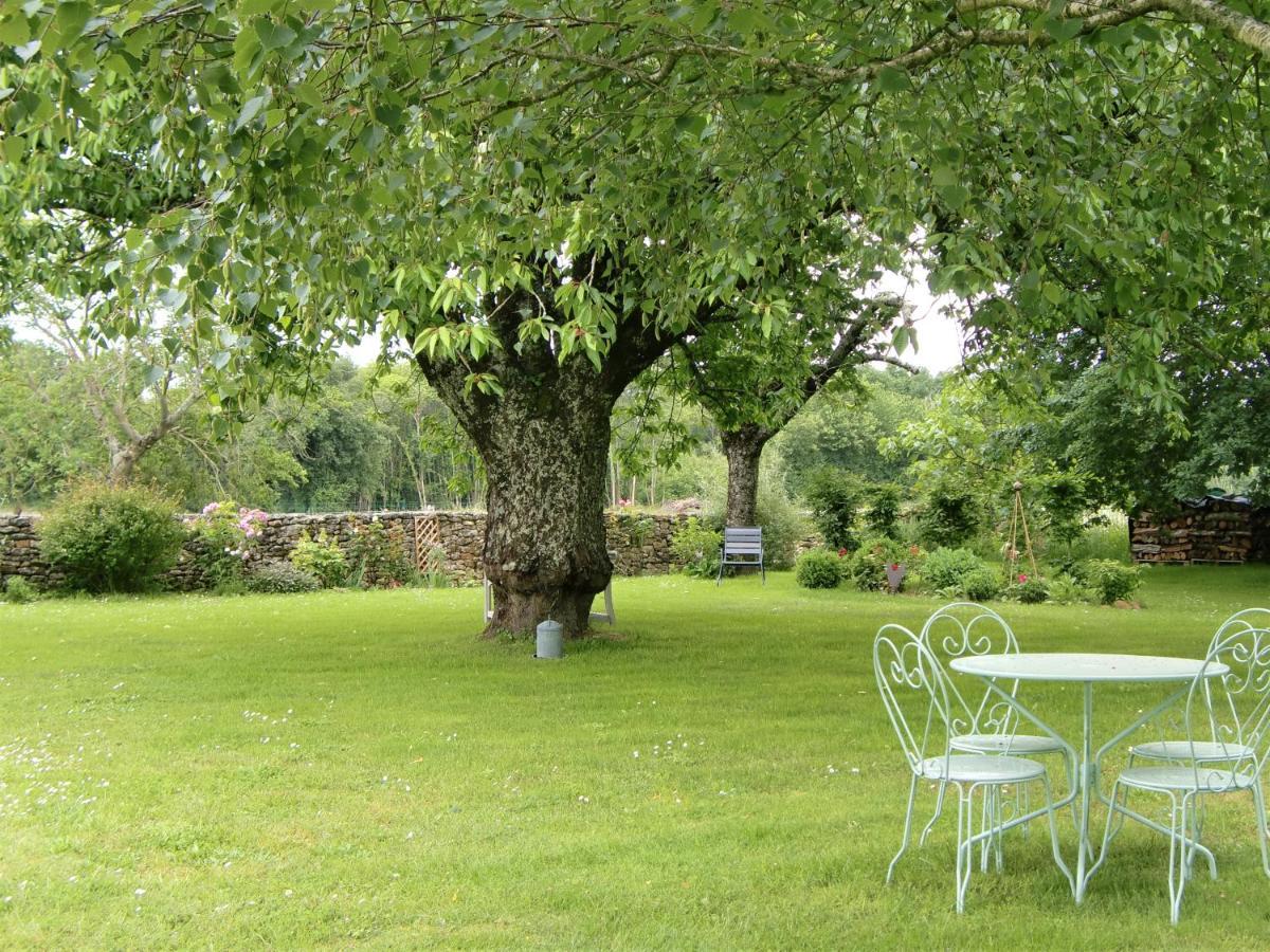 Bed and Breakfast Du Côté de l'Ombrière Geay  Esterno foto